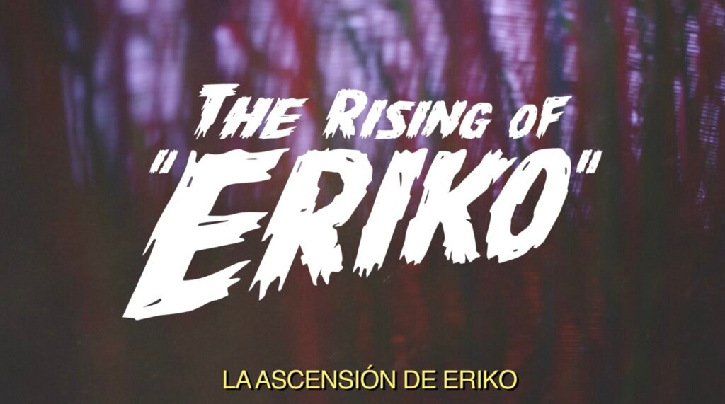 Eriko Cap4